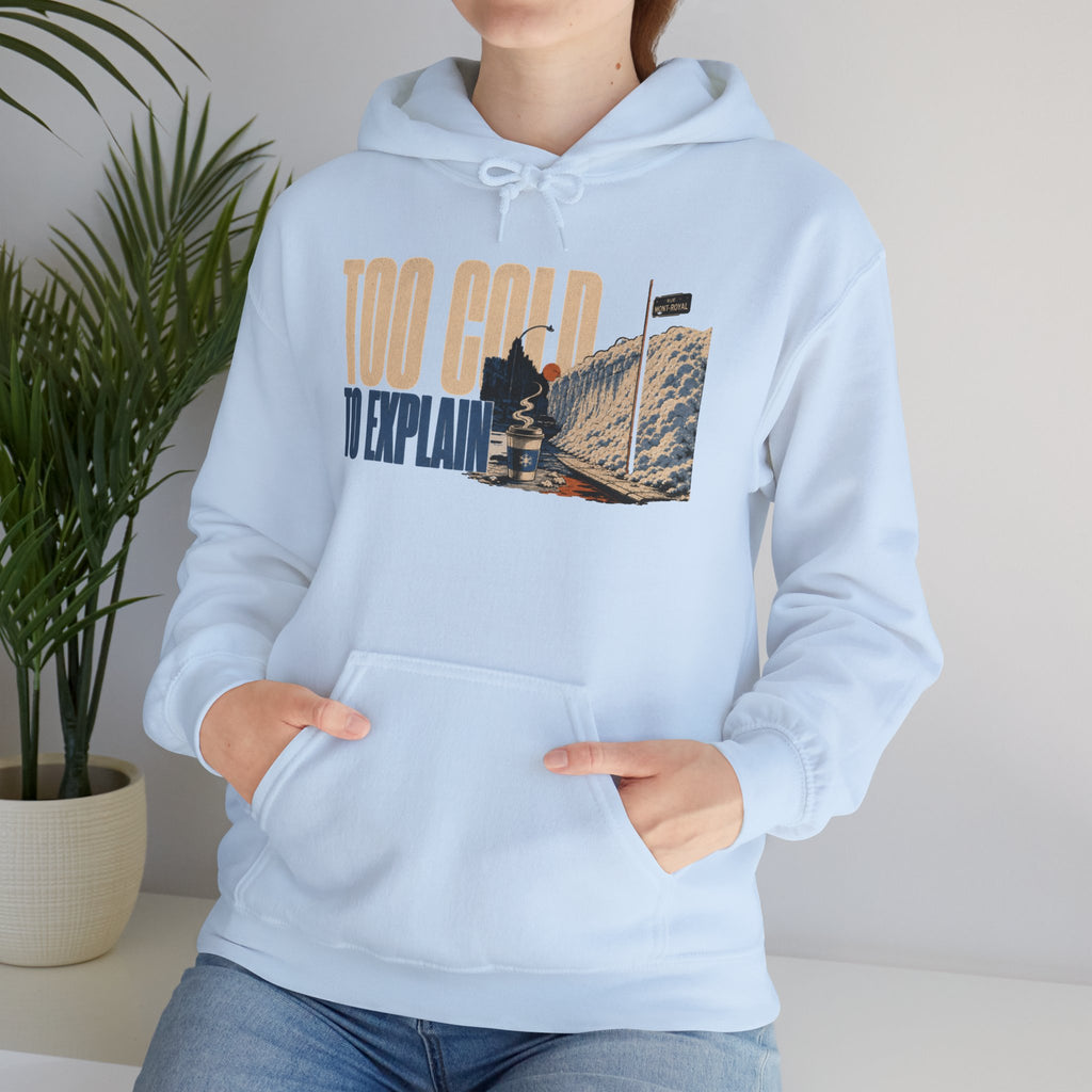 TOO COLD TO EXPLAIN